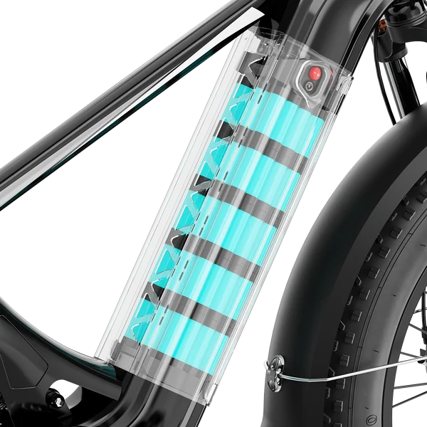 Aipas M2 Xterrain Ebike Aipas-M2-black Baskets. - Image 7